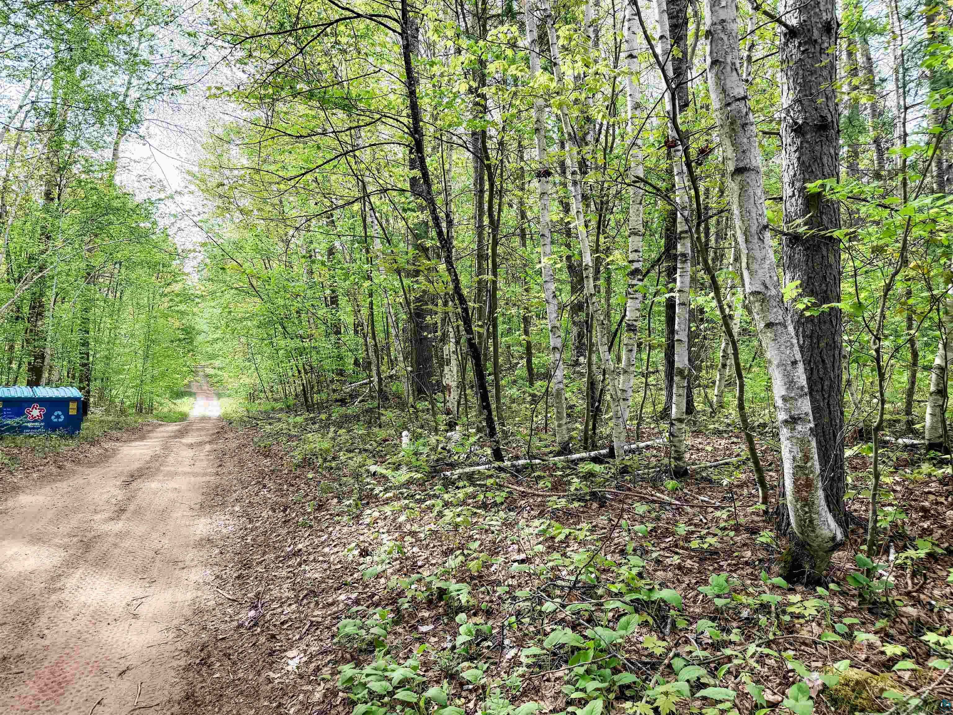 Lot 1 Peterson Road Minong, WI 54859 - Photo 7 of 9