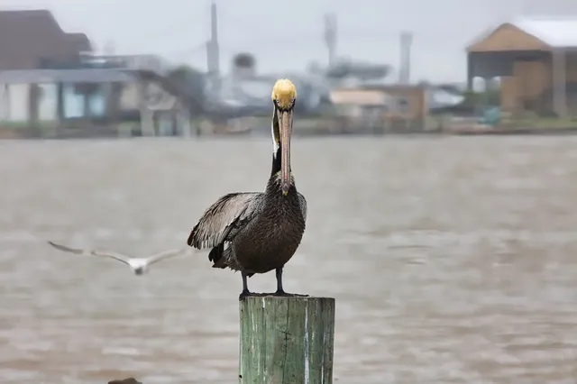 a bed sitting in a bedroom next to a window and a wooden floor