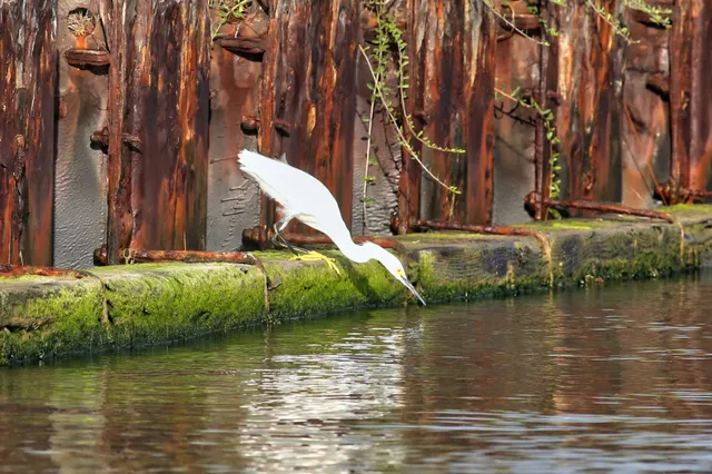 $2,995 | 1288 County Road 297, Sargent, TX 77414