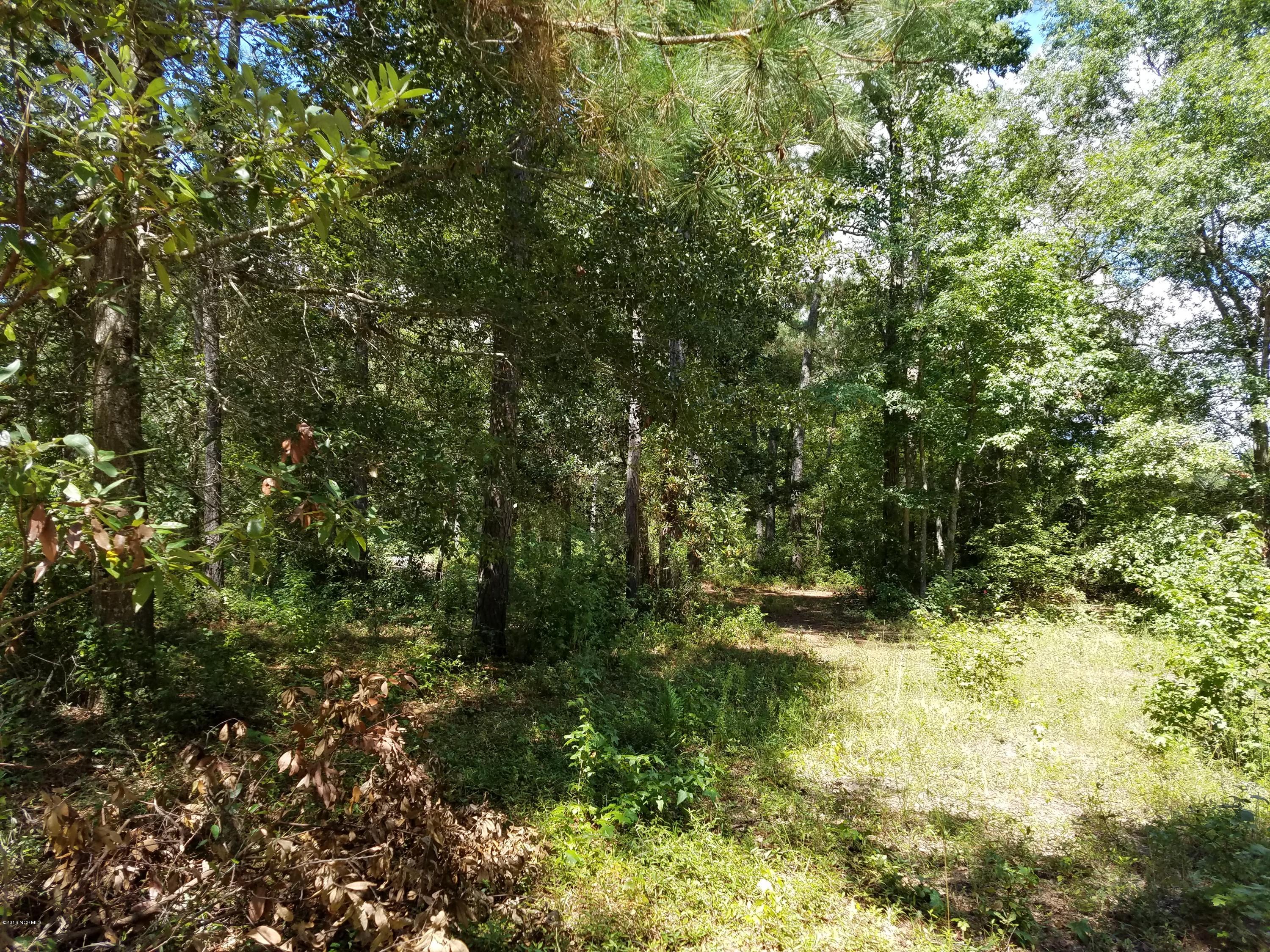 672 Stone Ridge Road Southwest Supply, NC 28462 - Photo 1 of 9 20160901_134850