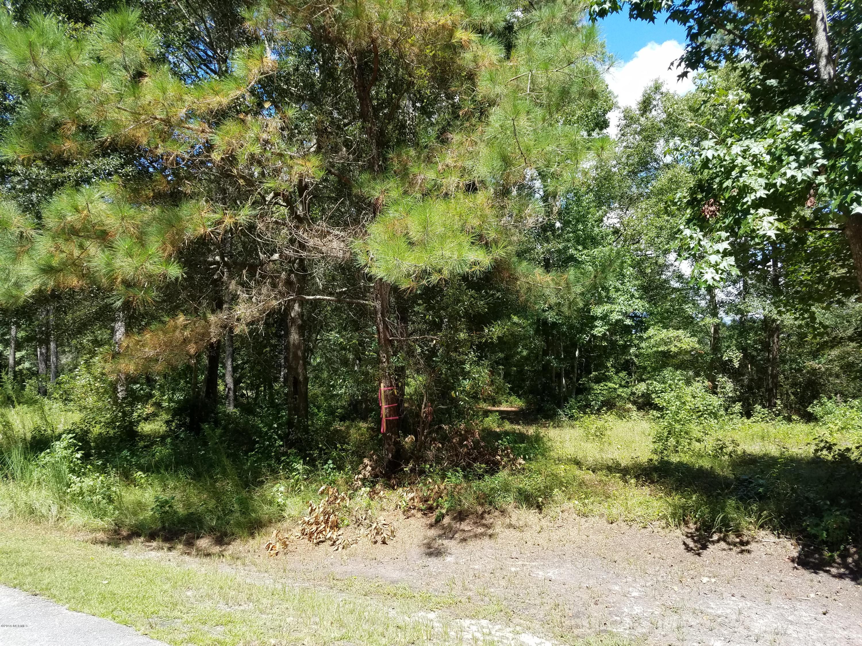 672 Stone Ridge Road Southwest Supply, NC 28462 - Photo 3 of 9 20160901_134838 - Copy
