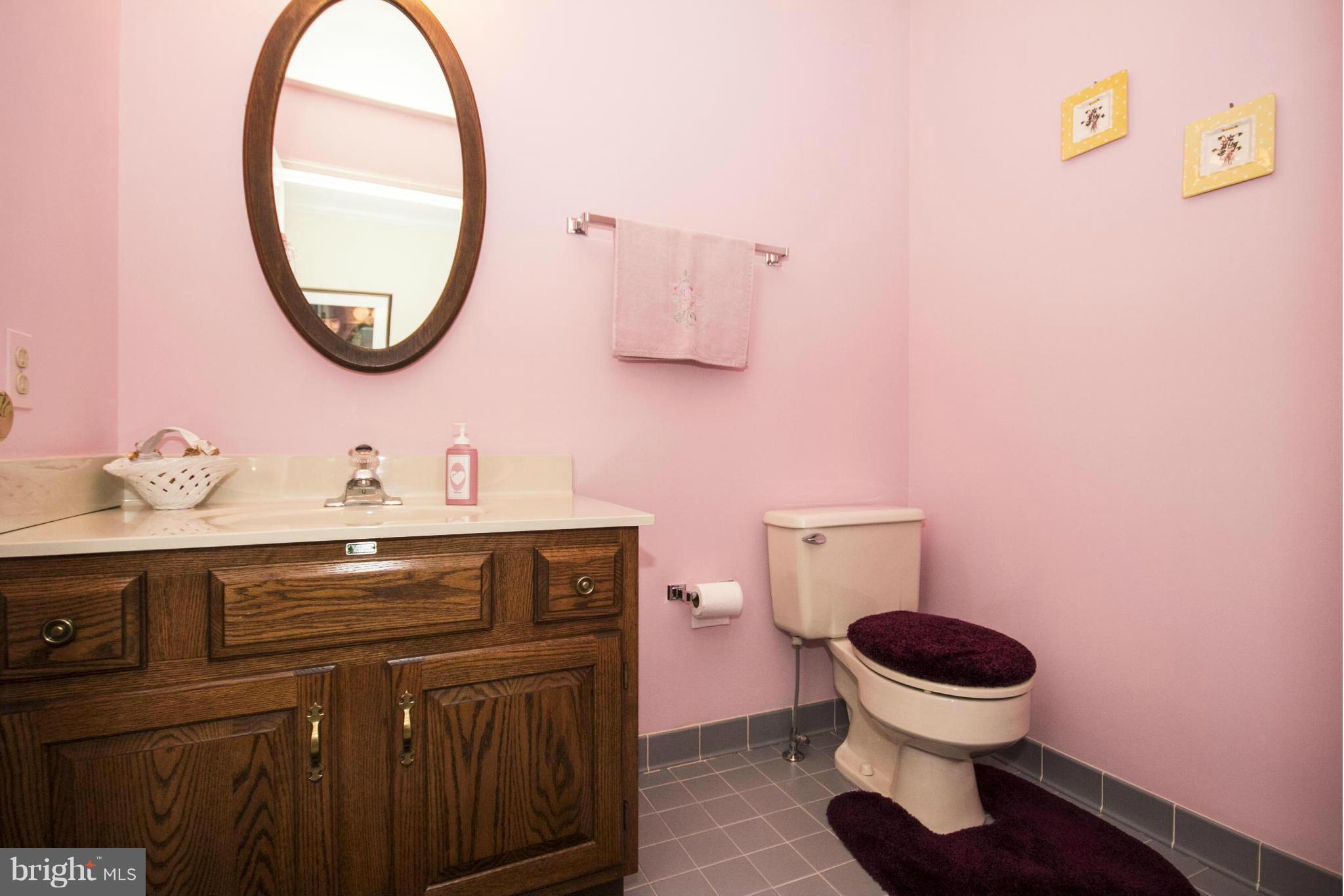 2511 Rochelle Drive Fallston, MD 21047 - Photo 4 of 30 Main floor powder room