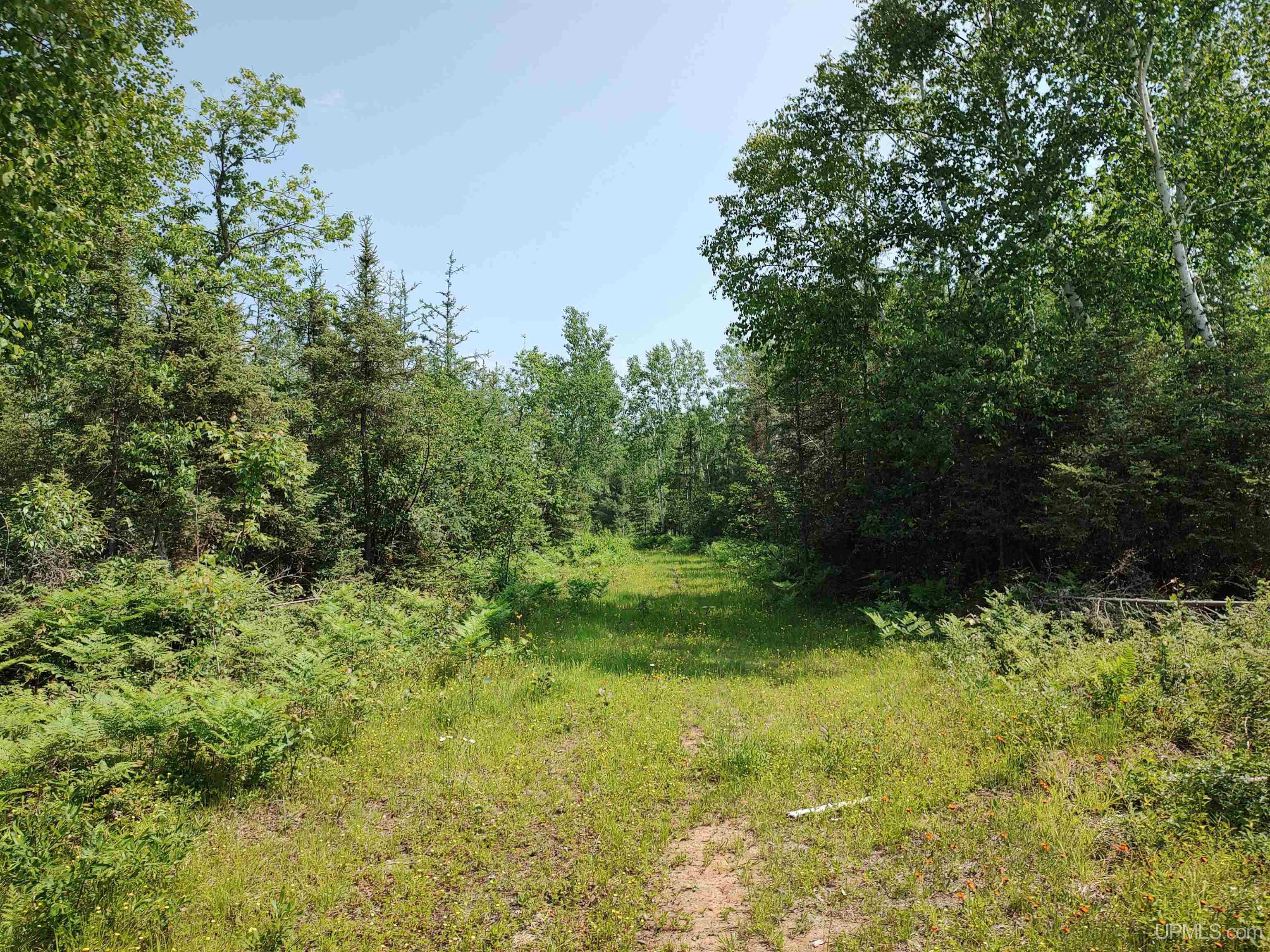 601 County Road 601 Road Republic, MI 49879 - Photo 30 of 60