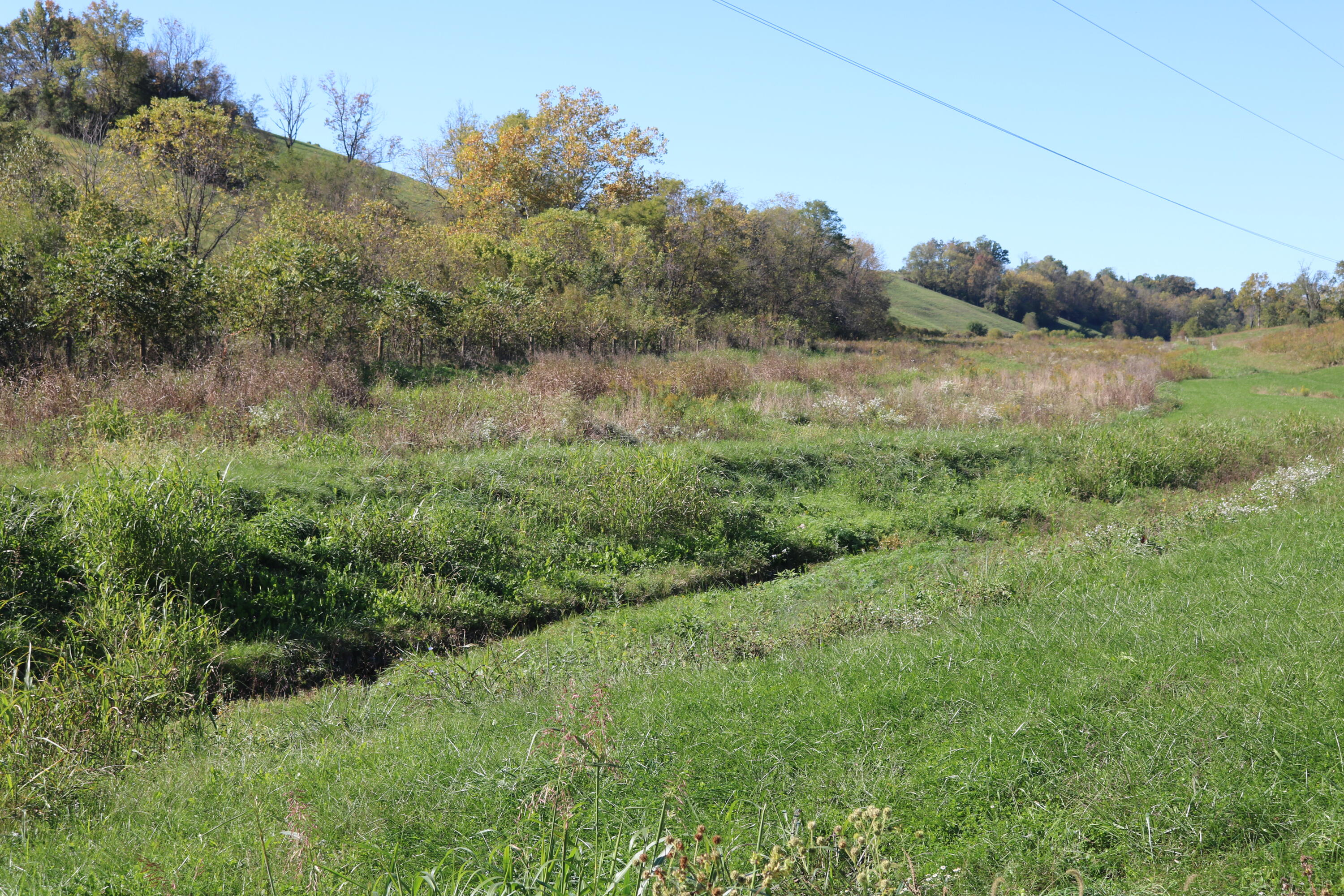 3453 East Union Road Carlisle, KY 40311 - Photo 23 of 70 IMG_7124