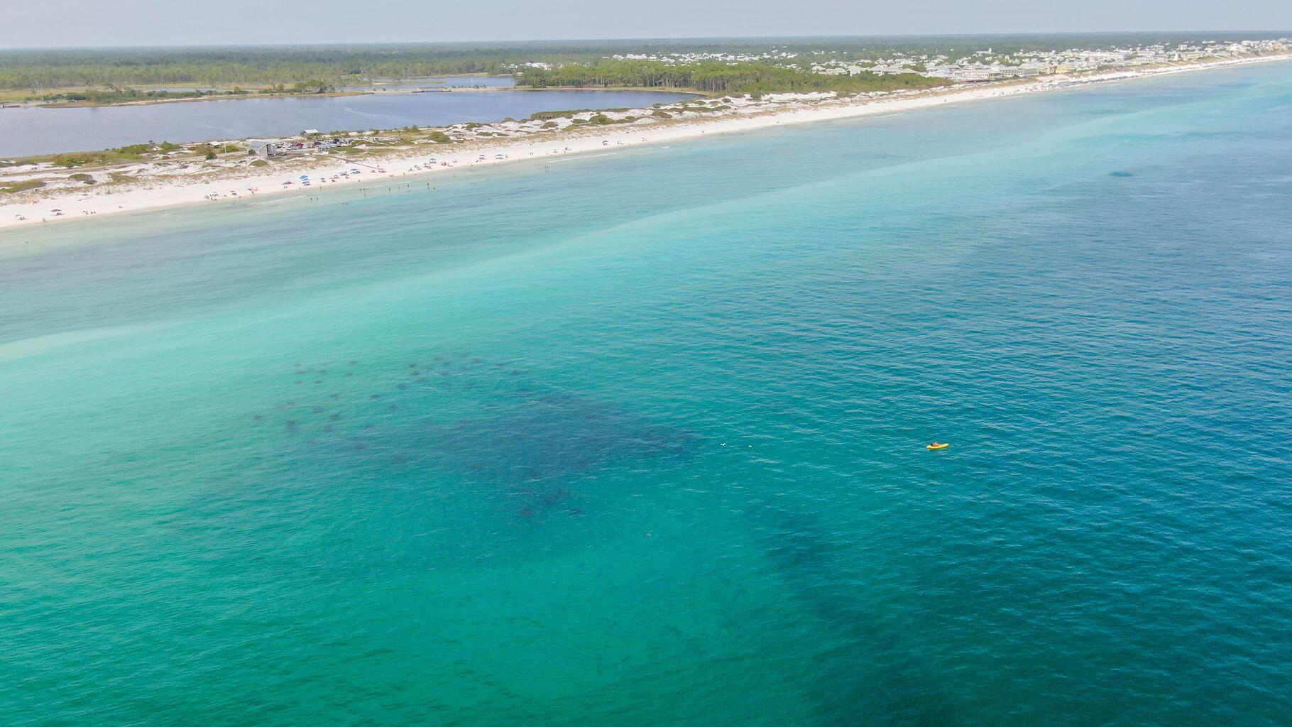 78 Grizzly Street Freeport, FL 32439 - Photo 62 of 65 a view of an ocean and beach
