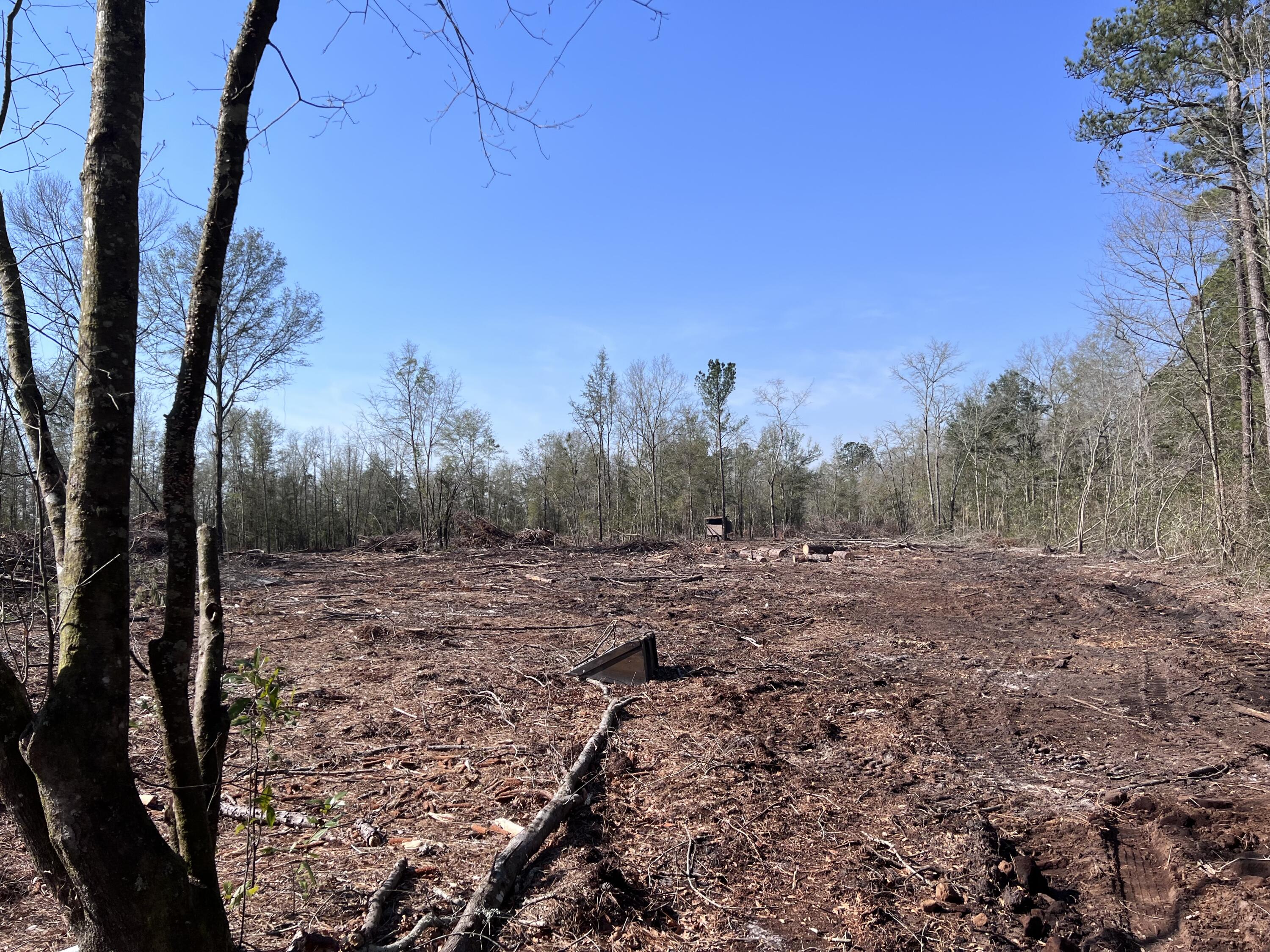 Lot 7 Marion Road Dorchester, SC 29437 - Photo 3 of 3 IMG_5878