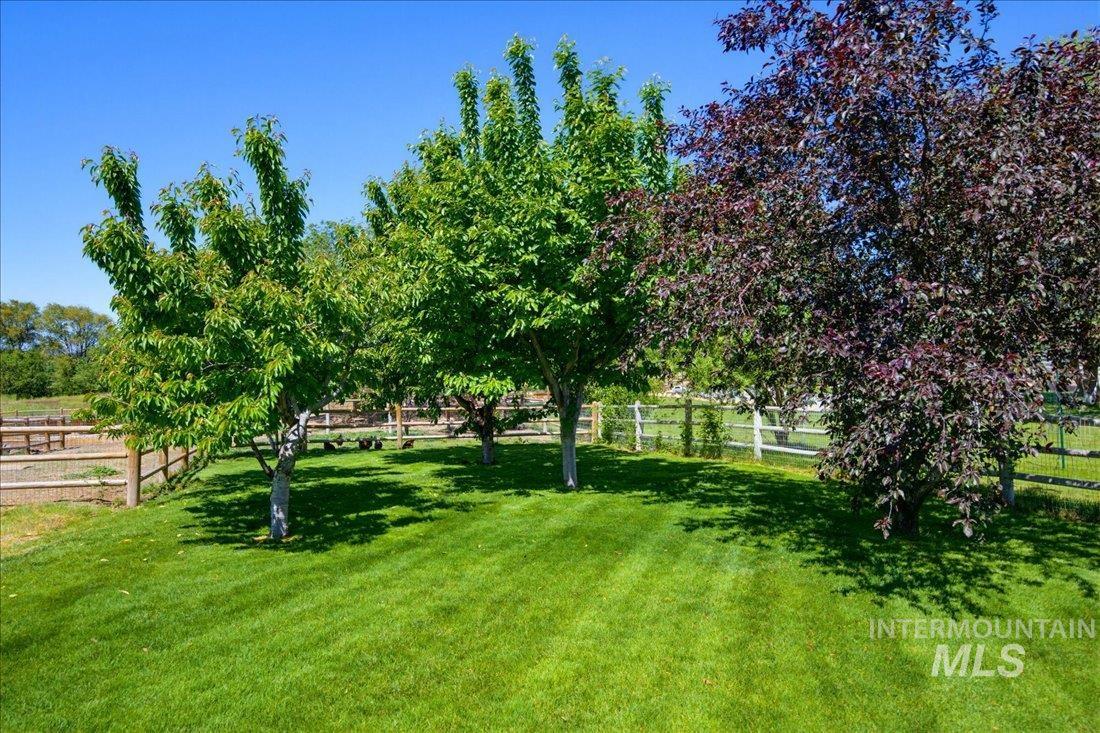 24623 Falcon Lane Caldwell, ID 83607 - Photo 29 of 40 Lush green lawn bordered by a split-rail fence, featuring mature deciduous trees