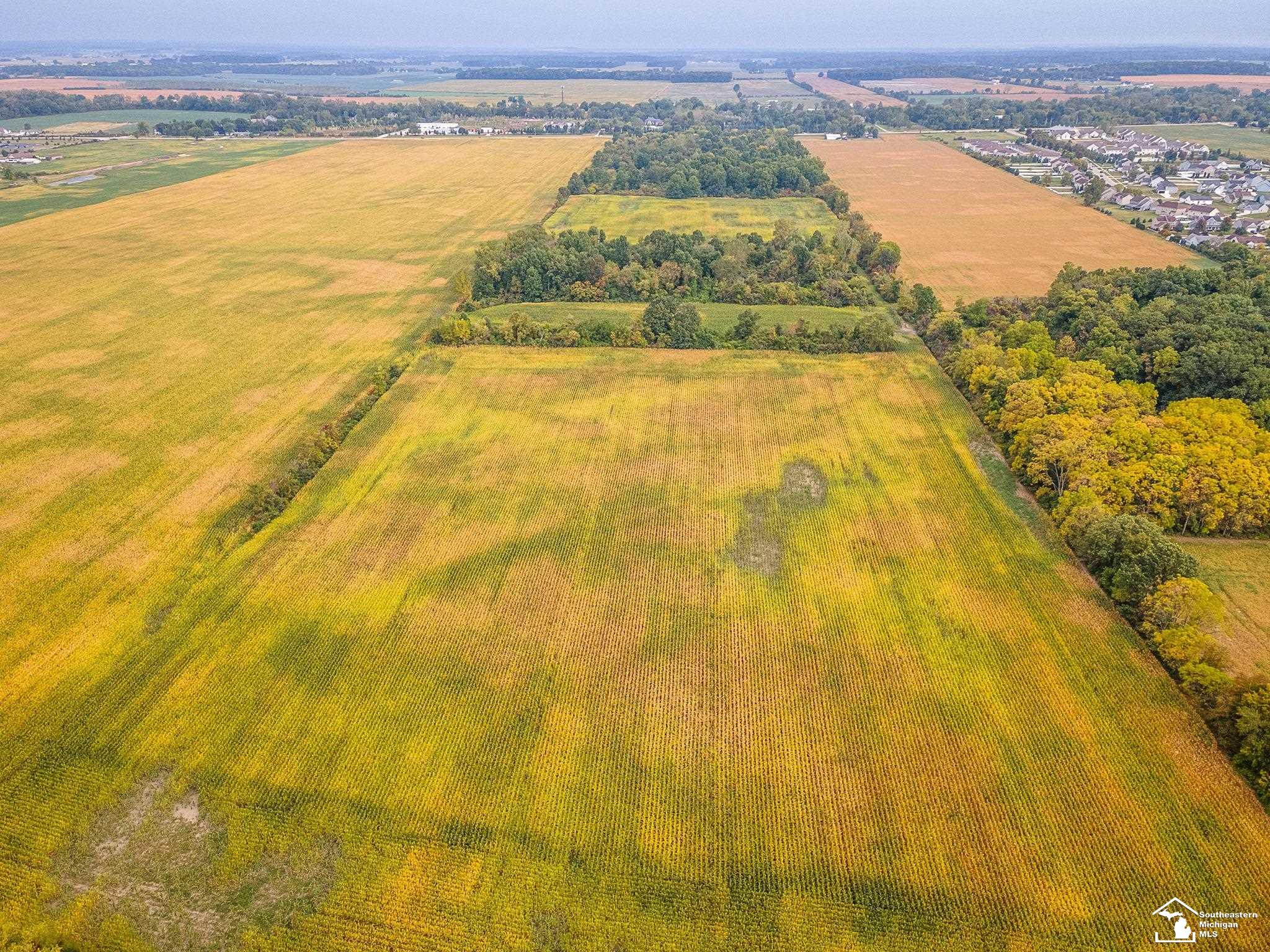 4555 South Custer Road Monroe, MI 48161 - Photo 10 of 18