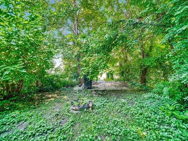front view of a house with a tree