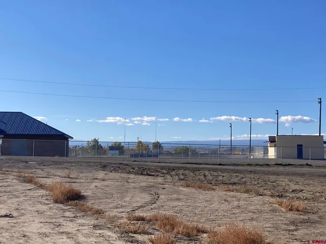 a view of a backyard with large trees