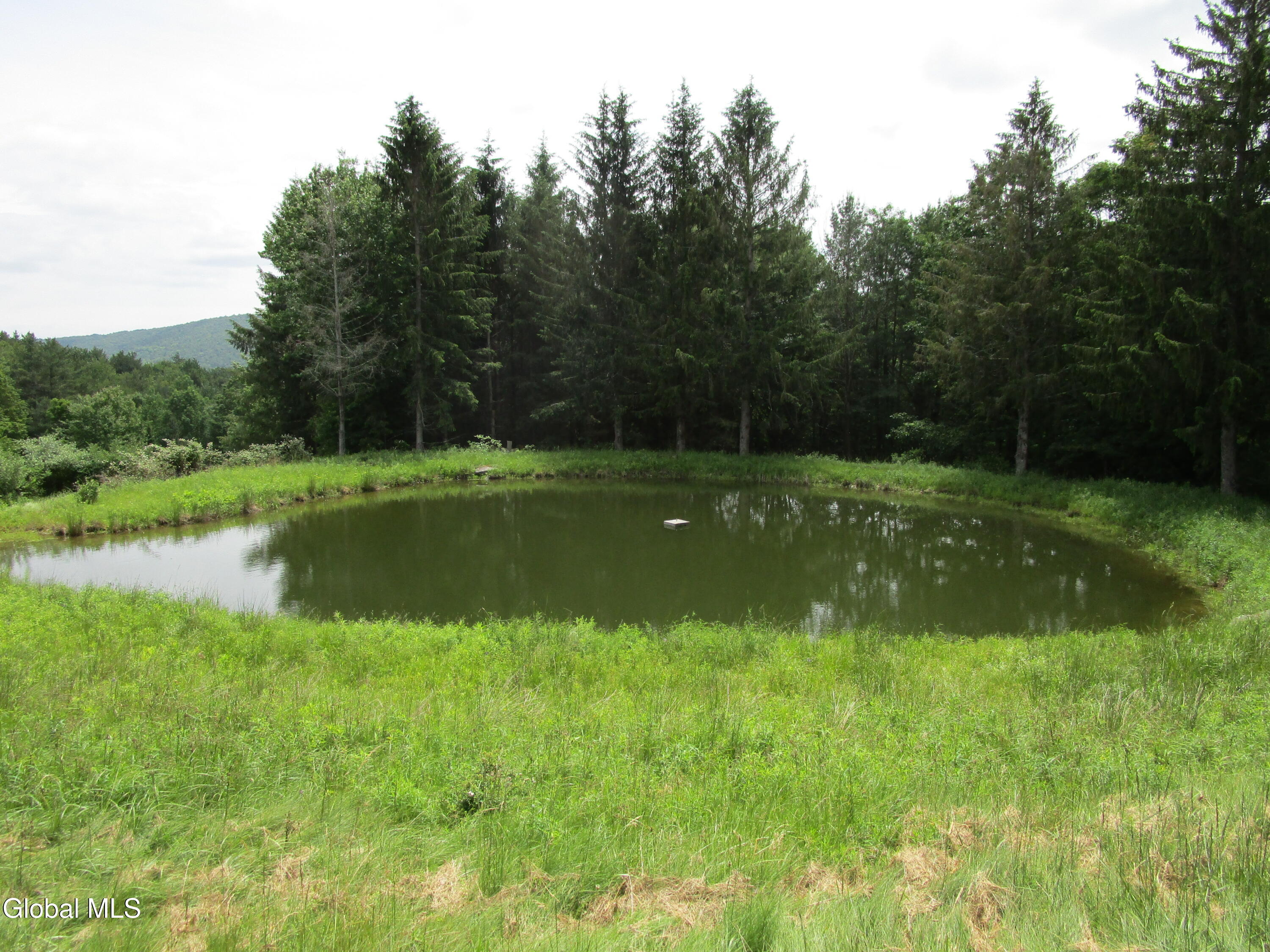 208 Bassler Road Middleburgh, NY 12122 - Photo 7 of 30 Mar Pics (34)