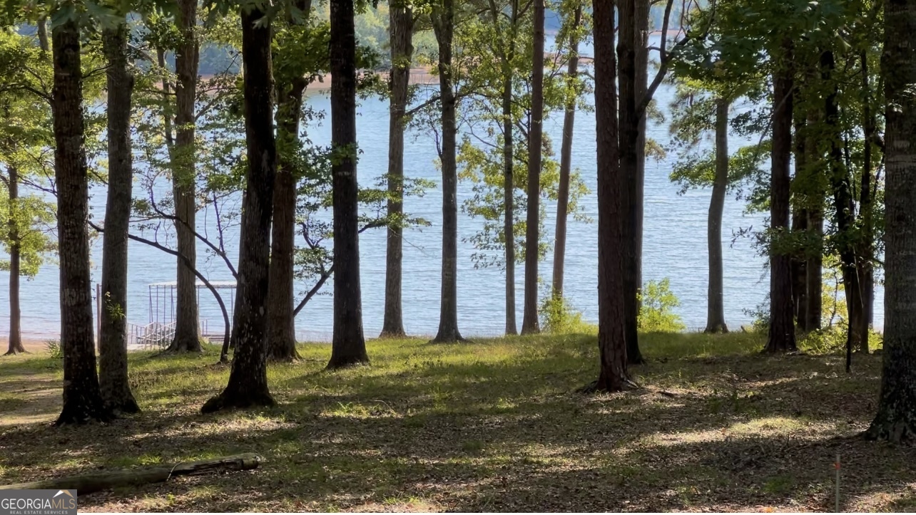 24 North Brooks Road LaGrange, GA 30240 - Photo 12 of 44 a view of a garden with a tree