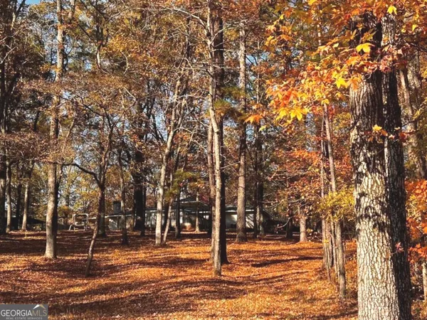a house with trees in front of it