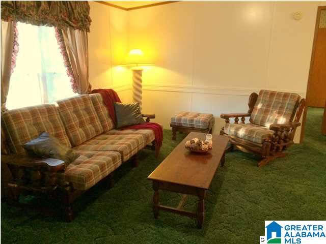 4796 Wolf Creek Road Pell City, AL 35128 - Photo 2 of 20