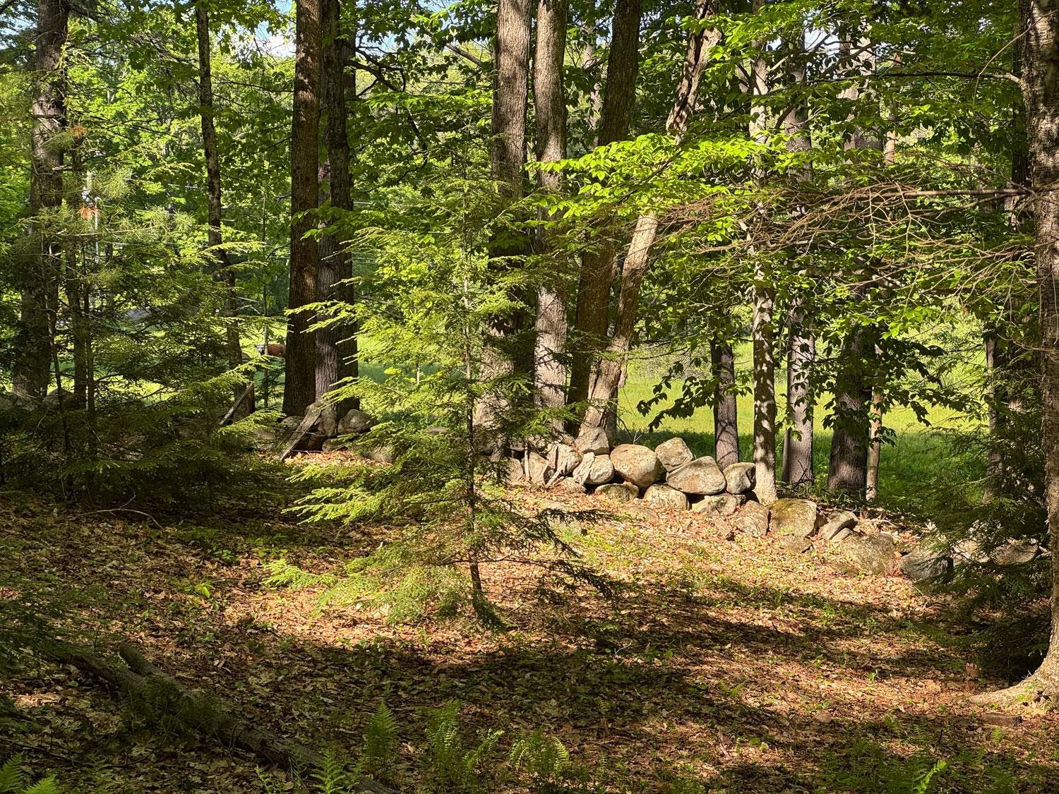 0 Peaked Hill Road Bristol, NH 03222 - Photo 13 of 33