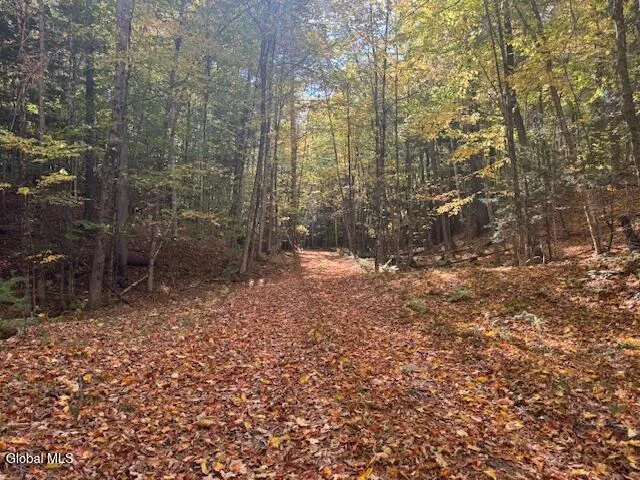 $289,900 | 173 Cleveland Road, Johnsburg, NY 12843