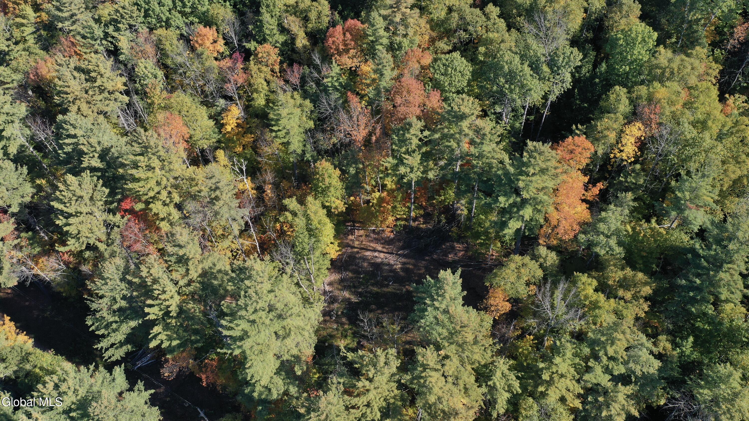 173 Cleveland Road Johnsburg, NY 12843 - Photo 4 of 11 IMG_6002