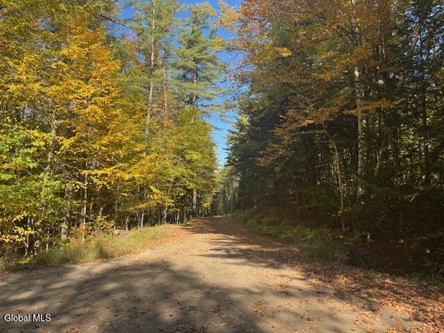 173 Cleveland Road Johnsburg, NY 12843 - Photo 5 of 11 IMG_1992