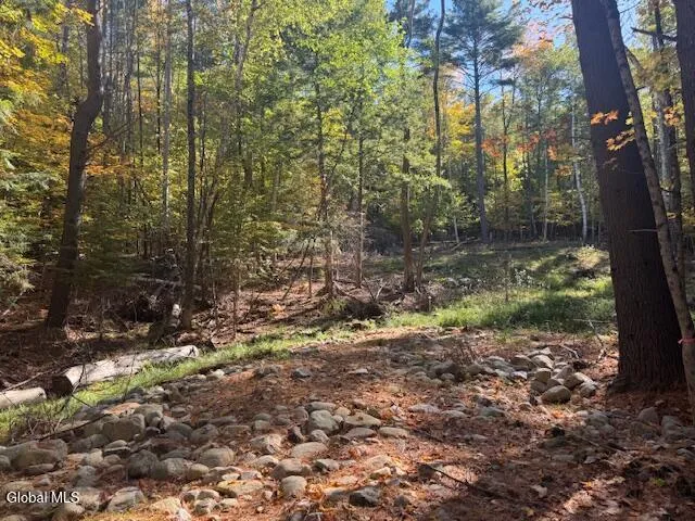 $289,900 | 173 Cleveland Road, Johnsburg, NY 12843