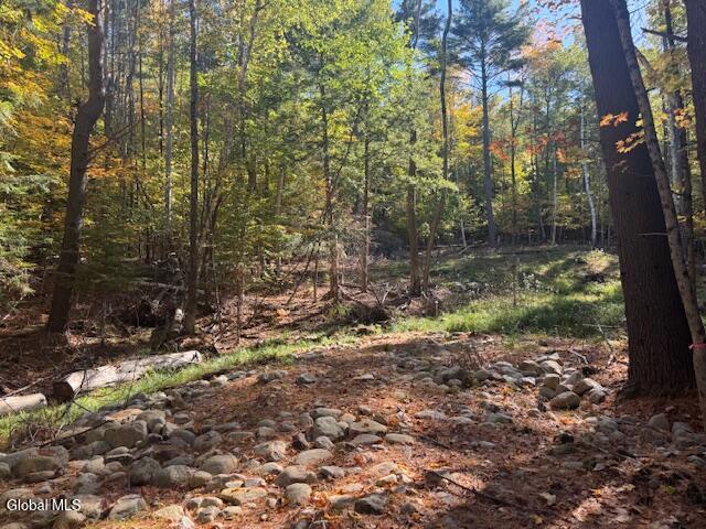 173 Cleveland Road Johnsburg, NY 12843 - Photo 8 of 11 IMG_1996