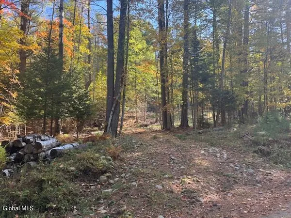 $289,900 | 173 Cleveland Road, Johnsburg, NY 12843