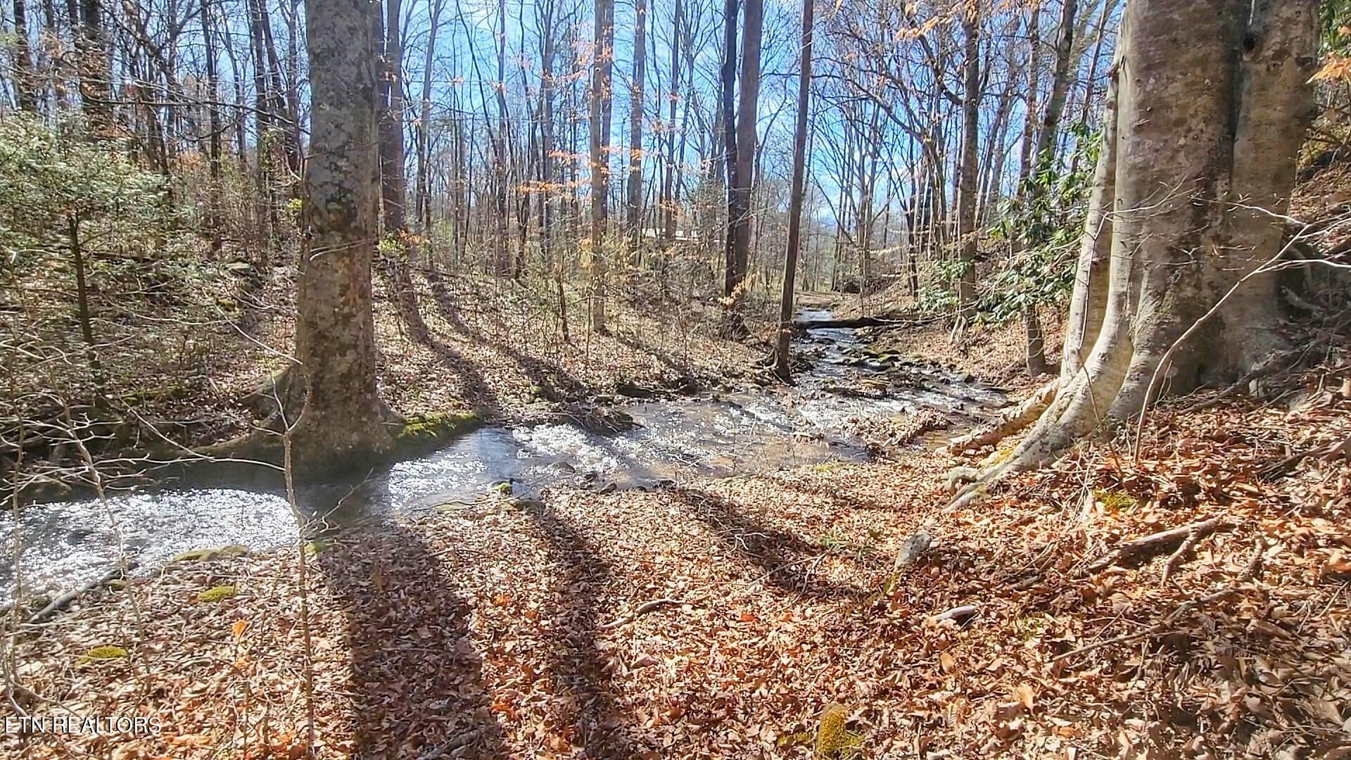 1312 Sweetwater Road Newport, TN 37821 - Photo 4 of 33