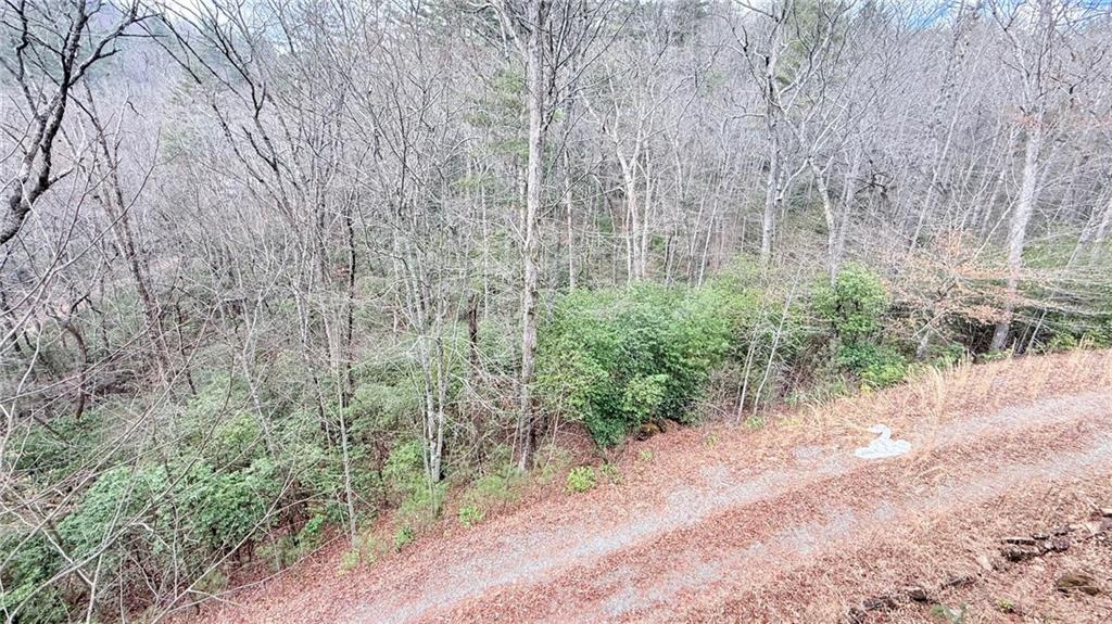 8072 Doublehead Gap Road Blue Ridge, GA 30513 - Photo 28 of 29