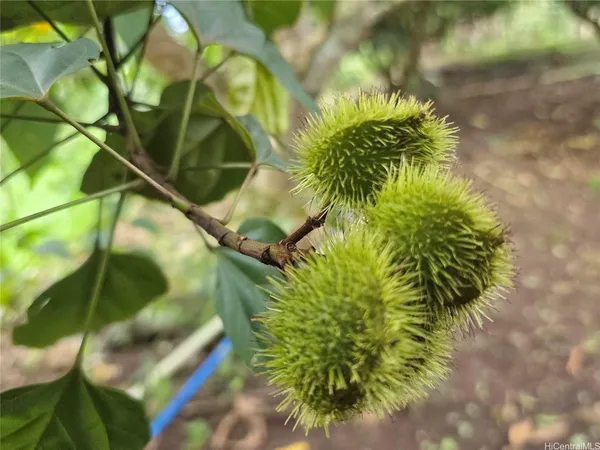 $378,000 | 94-1100 Kunia Road, Unit 86F, Waipahu, HI 96797