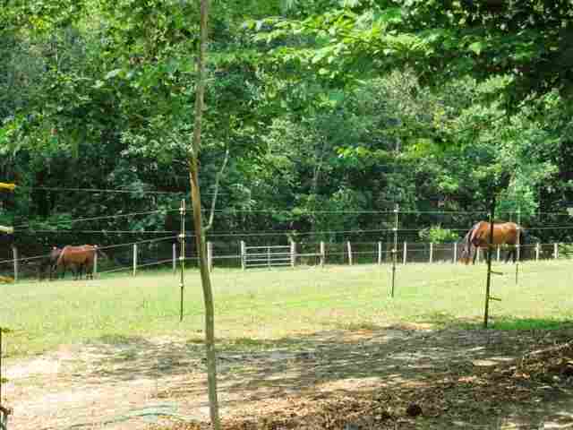 4415 Dover Road Havana, FL 32333 - Photo 1 of 22 Gallery Image 1