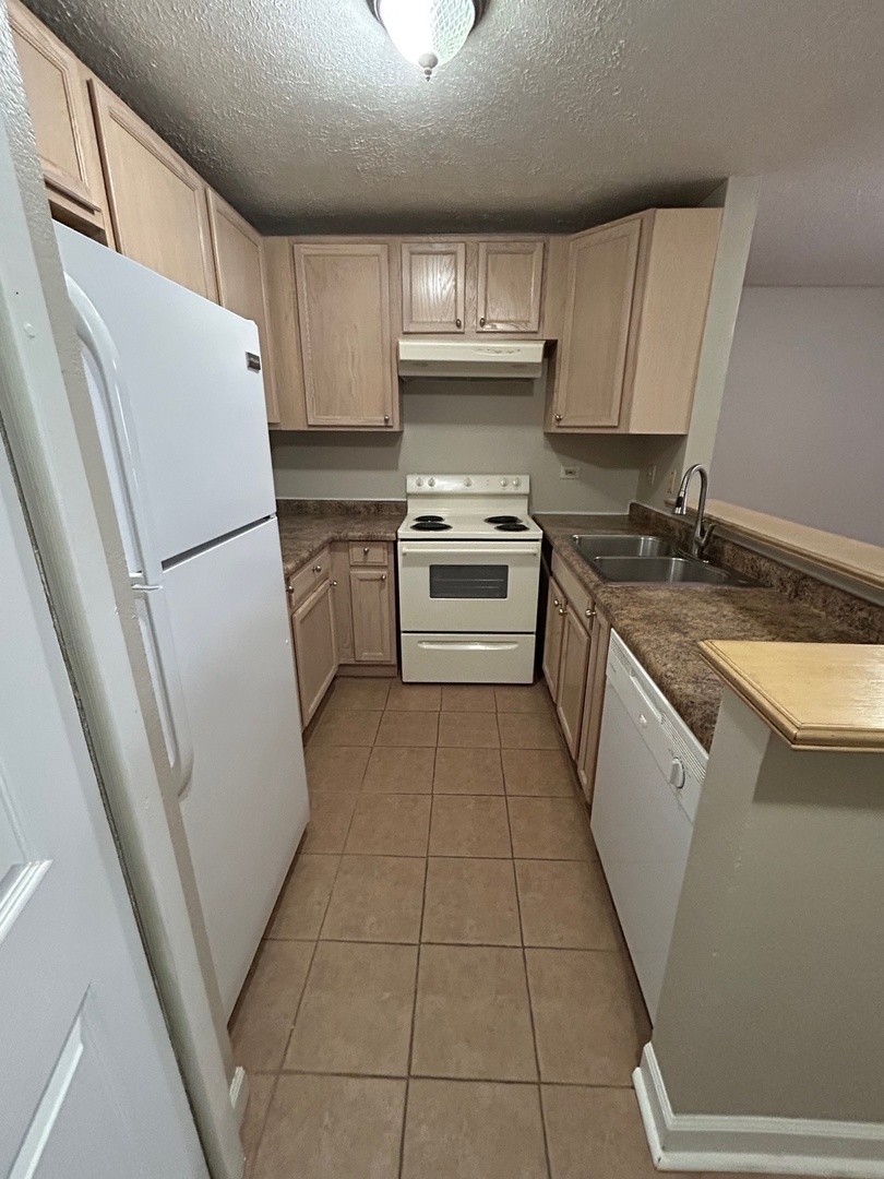 2044 North Rand Road, Unit 107 Palatine, IL 60074 - Photo 2 of 9 Gallery Image 2
