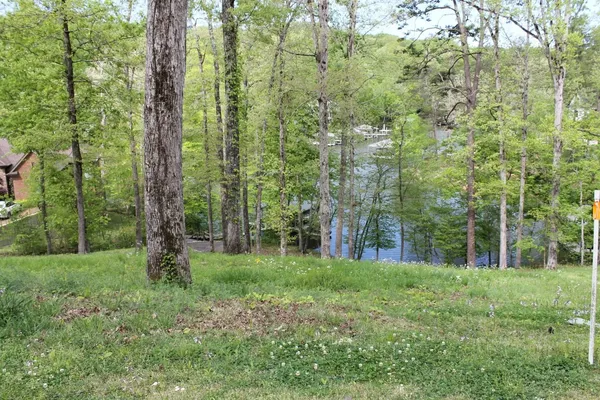 a big yard with lots of green space and trees