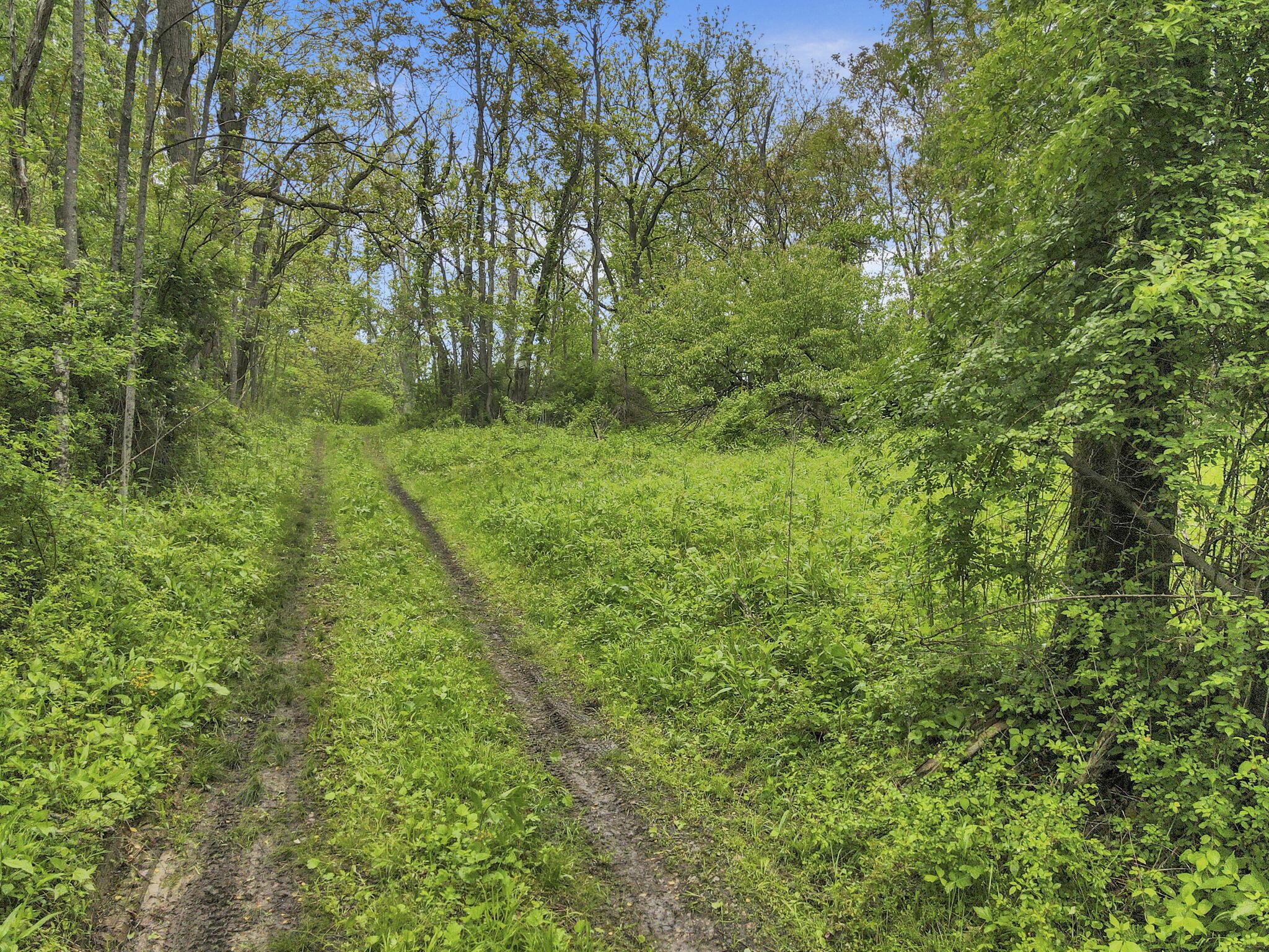 29500 Fairview Ridge Road Logan, OH 43138 - Photo 2 of 73 1-web-or-mls-DJI_0670