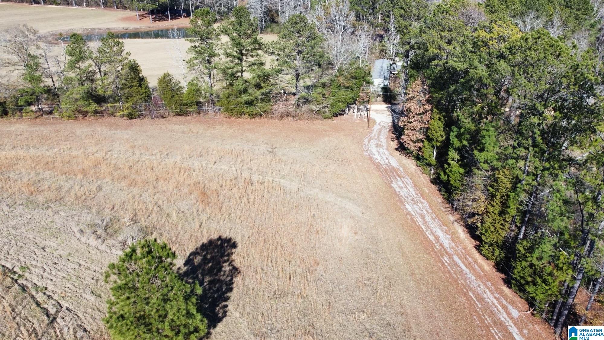40 County Road 494 Verbena, AL 36091 - Photo 9 of 16