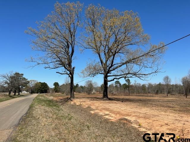 41-acres Off Watson Road Kilgore, TX 75662 - Photo 11 of 38 a view of tree next to a yard