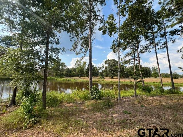 41-acres Off Watson Road Kilgore, TX 75662 - Photo 28 of 38 a view of back yard