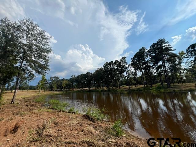 41-acres Off Watson Road Kilgore, TX 75662 - Photo 38 of 38 a view of a lake