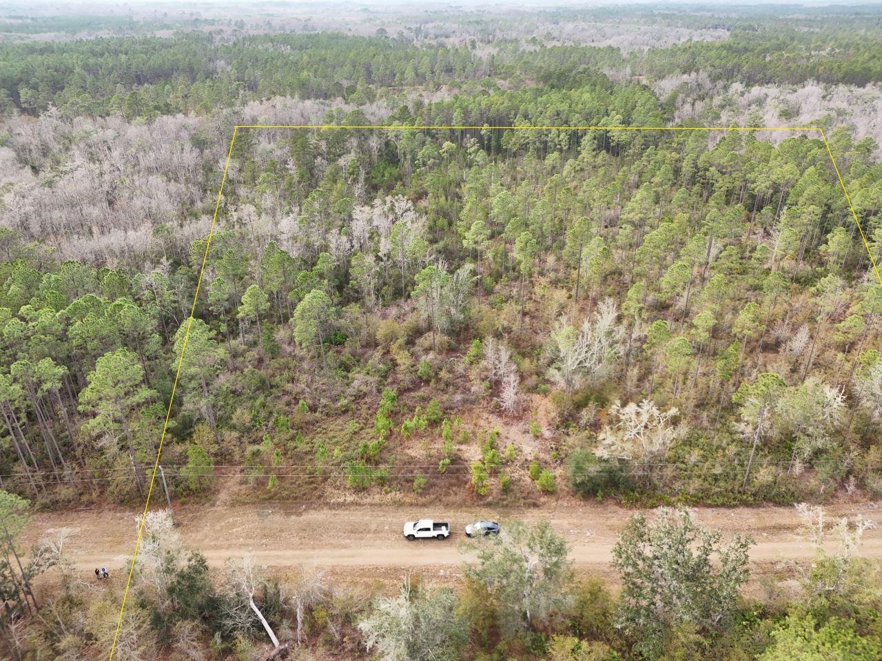 Vacant Southwest Ontario Road Greenville, FL 32331 - Photo 2 of 11