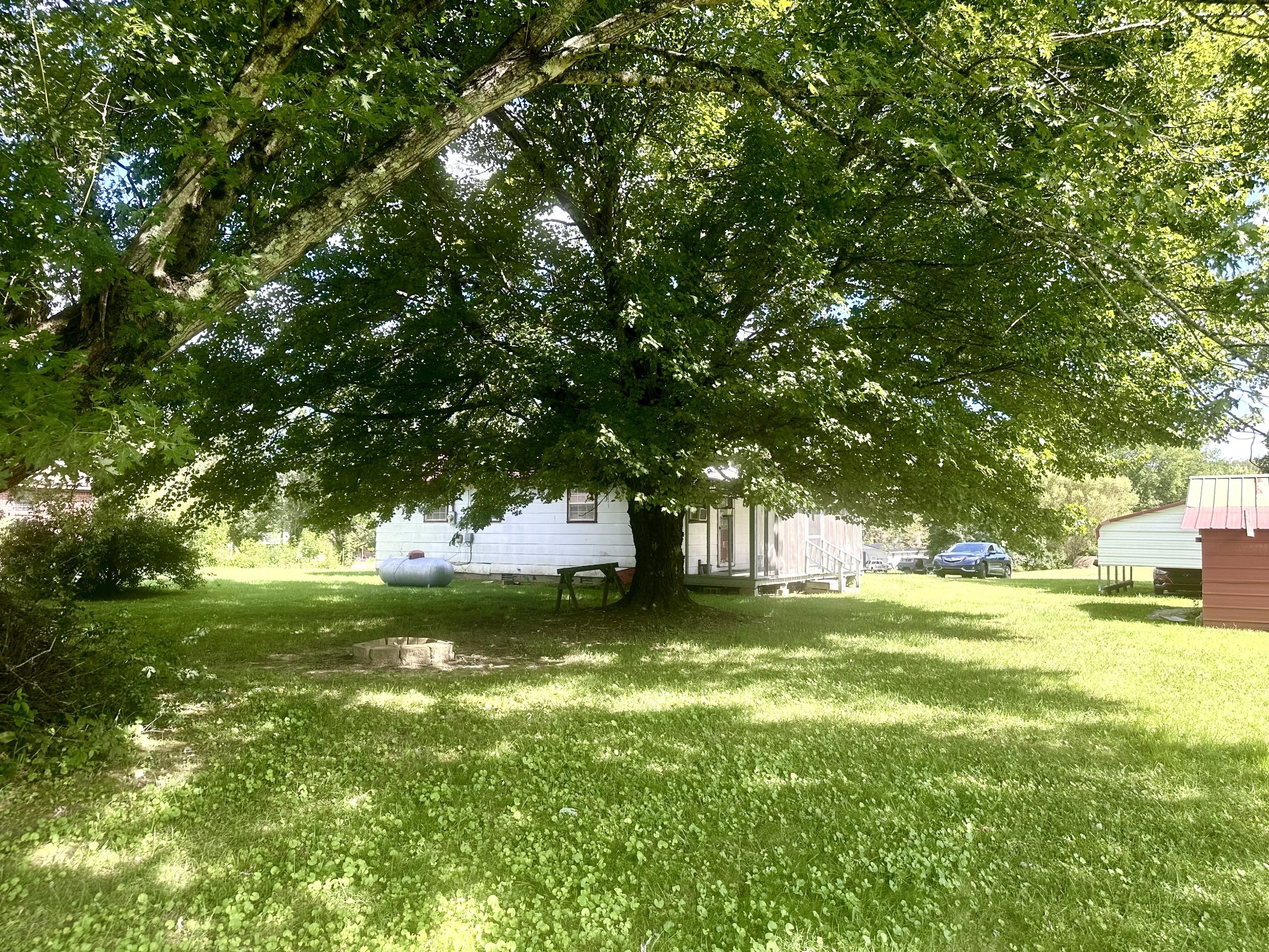 121 Dell Road Gruetli Laager, TN 37339 - Photo 27 of 35 a view of a yard with a tree