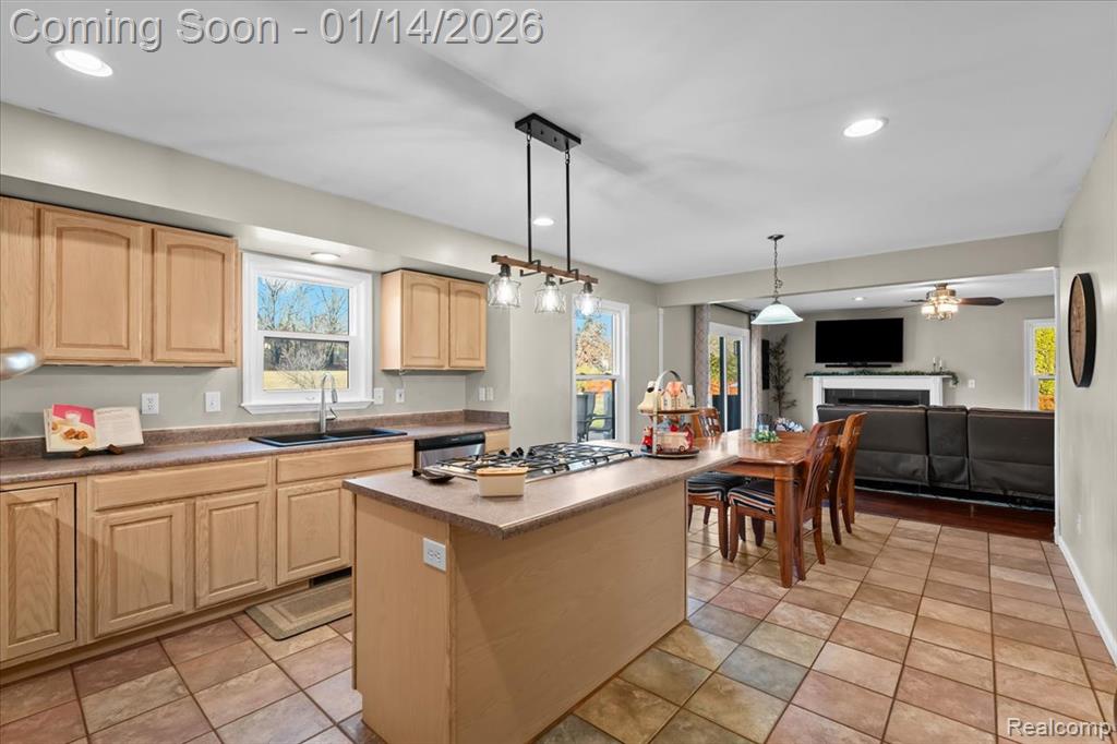 18320 Walnut Lane Gregory, MI 48137 - Photo 13 of 55