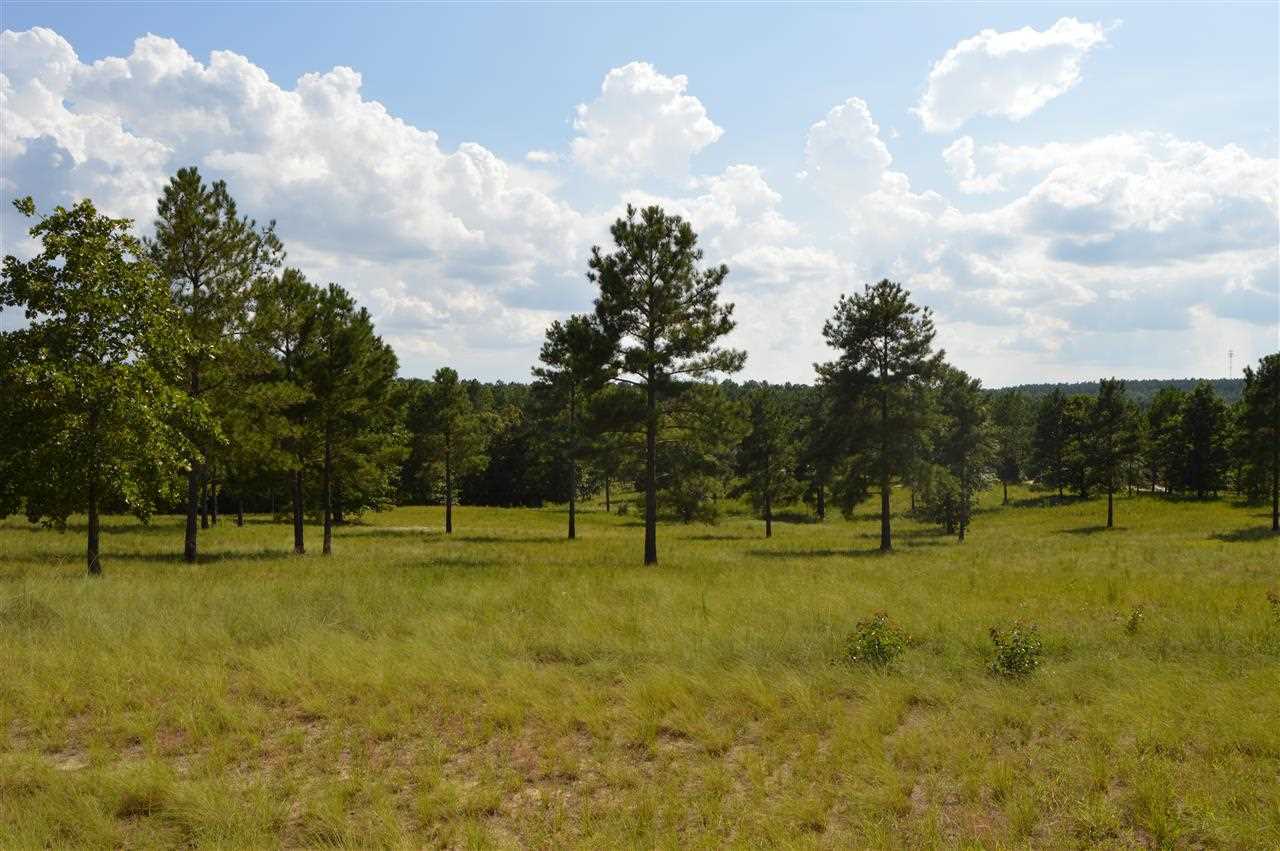 770 Broken Ridge Trail West End, NC 27376 - Photo 1 of 11 Primary Photo