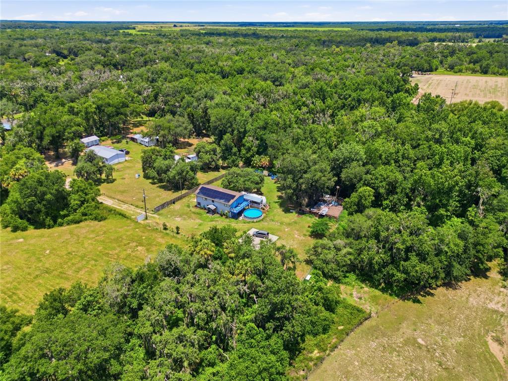 3126 Toole Road Lithia, FL 33547 - Photo 56 of 66