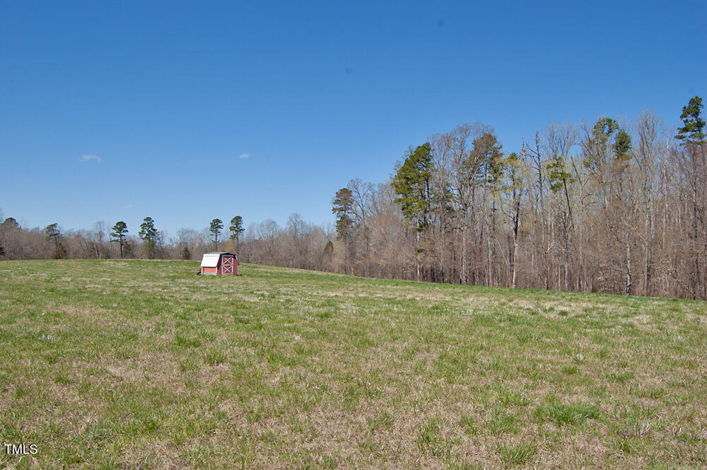 0 Tilley Road Bullock, NC 27507 - Photo 11 of 47 DSC_0569