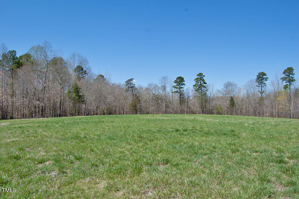 0 Tilley Road Bullock, NC 27507 - Photo 15 of 47 DSC_0575