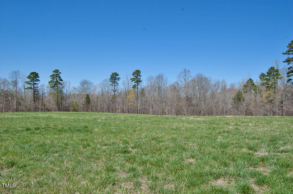 0 Tilley Road Bullock, NC 27507 - Photo 16 of 47 DSC_0576