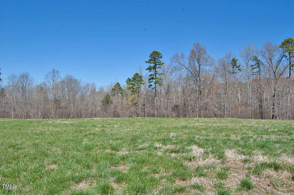 0 Tilley Road Bullock, NC 27507 - Photo 17 of 47 DSC_0577