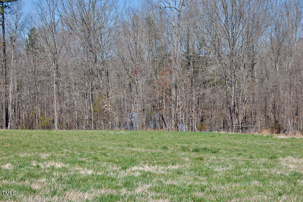 0 Tilley Road Bullock, NC 27507 - Photo 19 of 47 DSC_0579