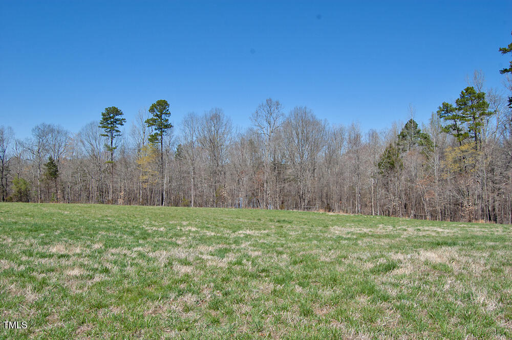 0 Tilley Road Bullock, NC 27507 - Photo 20 of 47 DSC_0578