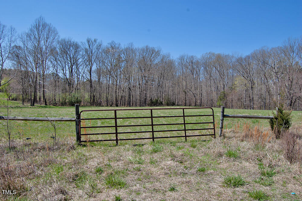 0 Tilley Road Bullock, NC 27507 - Photo 2 of 47 DSC_0636