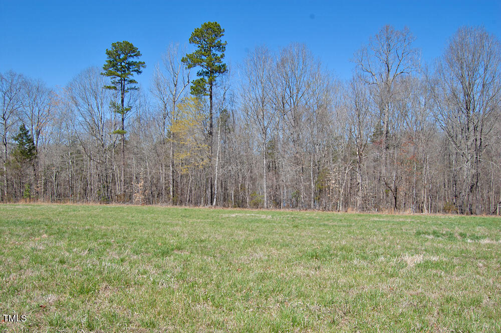 0 Tilley Road Bullock, NC 27507 - Photo 21 of 47 DSC_0581