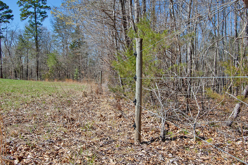 0 Tilley Road Bullock, NC 27507 - Photo 22 of 47 DSC_0584